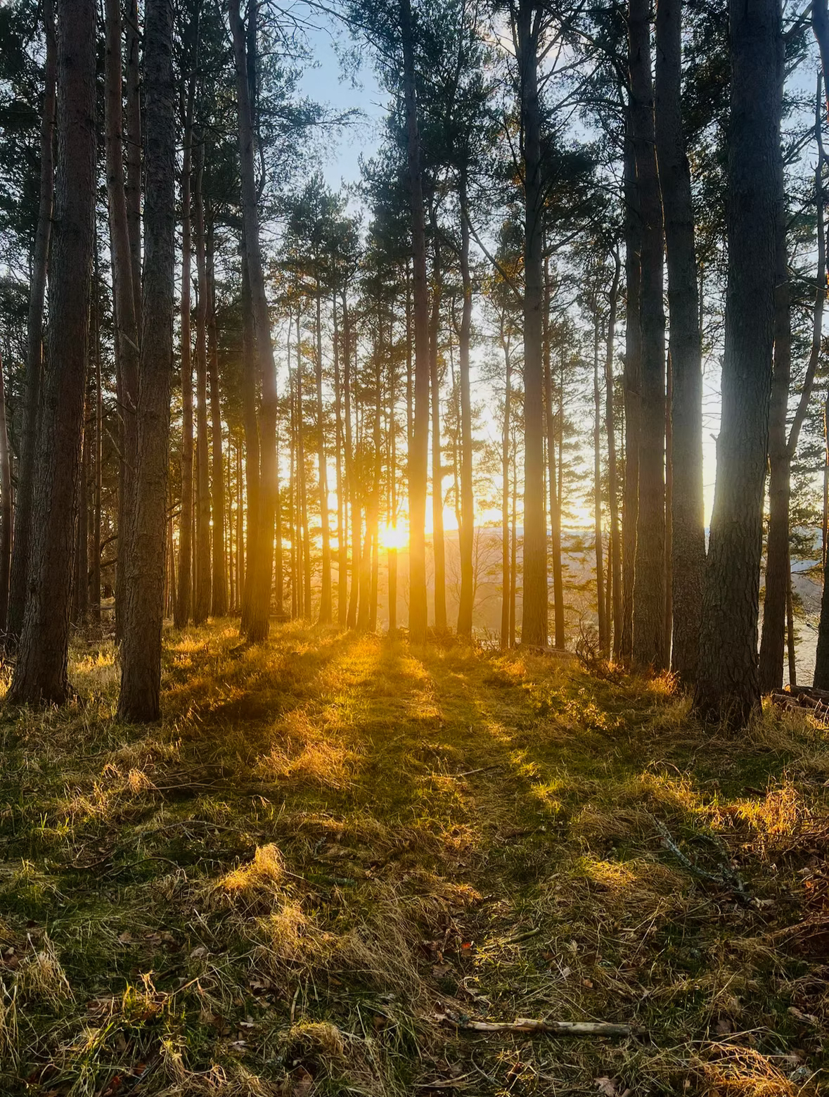 Where the Earth Breathes You Back